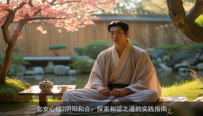 玄女心经2阴阳和合:探索和谐之道的实践指南 玄女心经2阴阳和合:探索和谐之道的实践指南