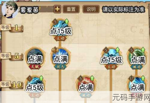 航海王燃烧意志，精选肉盾角色实力大比拼及排名详解