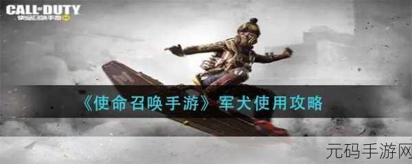 使命召唤手游军犬获取与使用全攻略