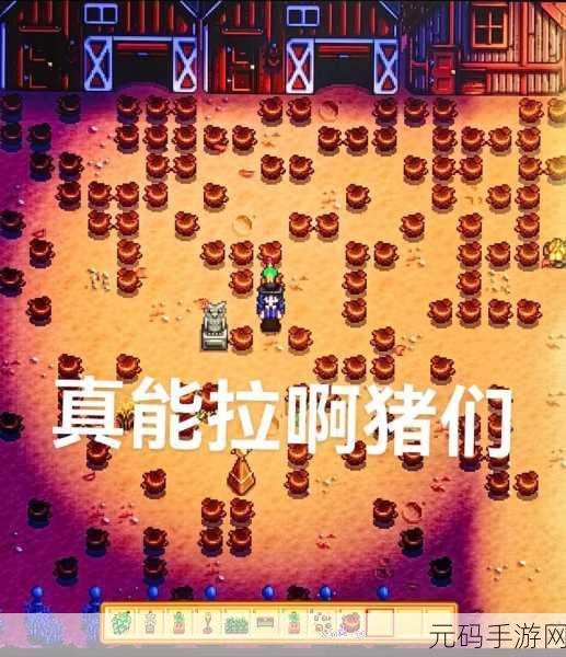 手游资讯，星露谷物语海参捕捞季节全解析