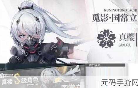 深空之眼,觅影国常立印刻阵容的绝佳搭配秘籍