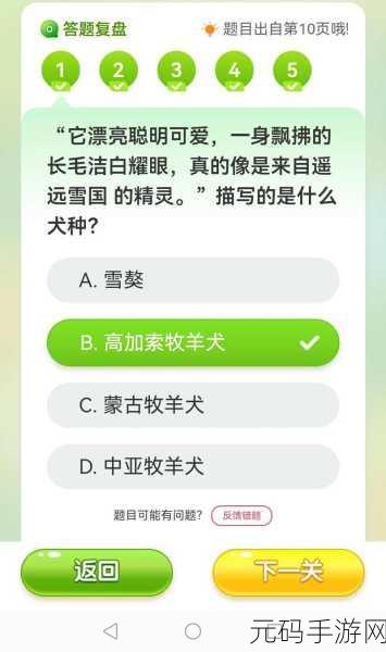 苍蓝境界,探秘夜晚守护者任务的通关秘籍