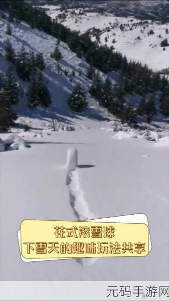 宝可梦大集结雪球滚滚滚玩法深度探秘与致胜秘籍