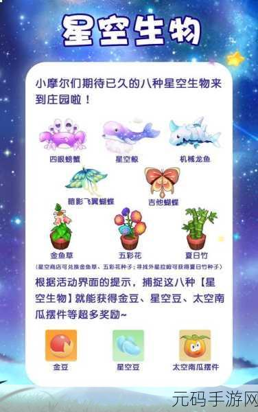 摩尔庄园手游流星雨奇观，观测指南与活动解析