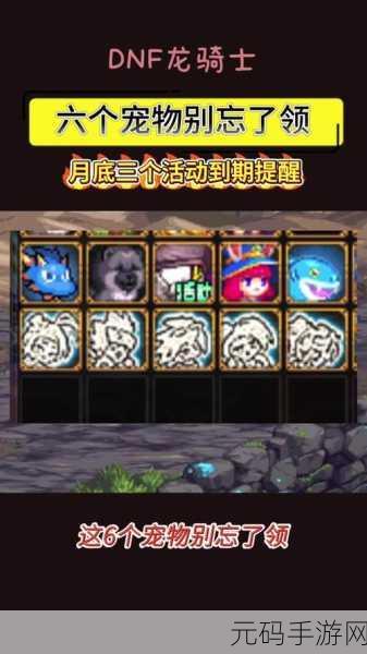 DNF迷你丝丝宠物全面解析，珍贵道具的获取与魅力