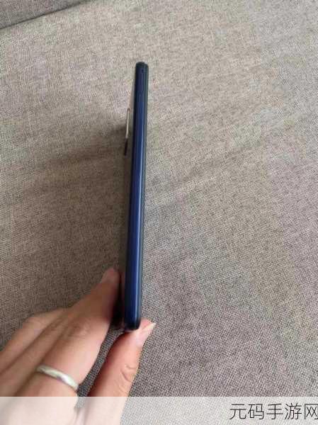 Y31成色鉴定：1. Y31成色鉴定的深度解析与应用