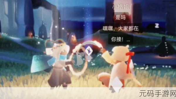 光遇，朋友世界难进之谜及破解之道