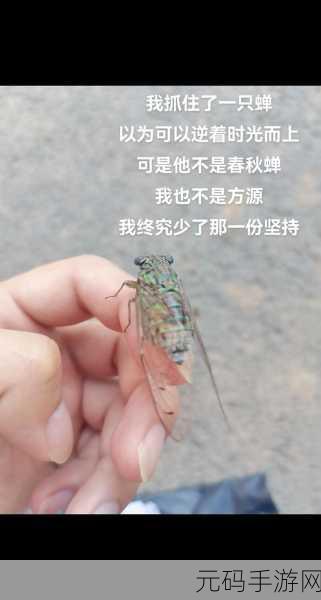 我有多久没喂饱你了：1. 我有多久没好好关心你了？