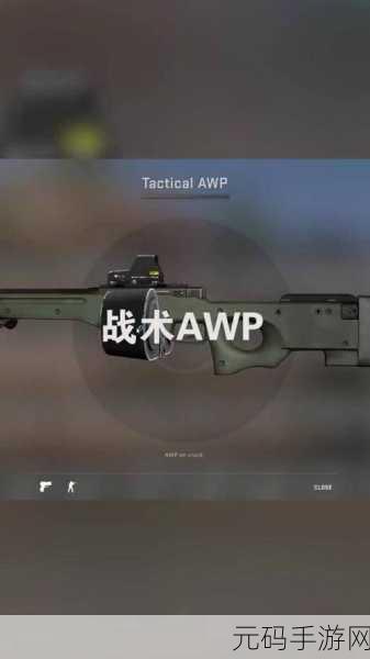 csgo大姐姐awp多少钱：1. CSGO大姐姐AWP价格揭秘与市场分析