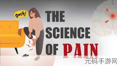 疼痛之轮WHEELOFPAIN：1. 深入解析疼痛之轮：理解身体与心理的交织