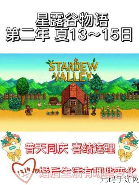 星露谷物语，婚后游戏玩法全揭秘
