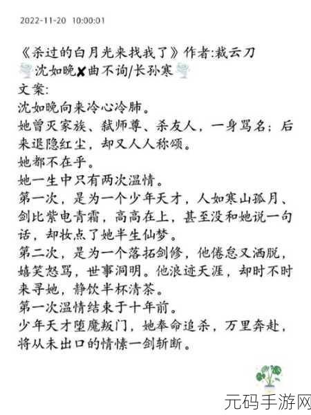 双向奔赴1V1SC南望:1.双向奔赴:南望之旅的情感交汇