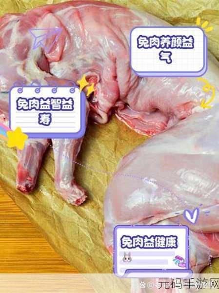 合法强肉：1. 合法强肉：探索新型肉类消费的趋势与影响