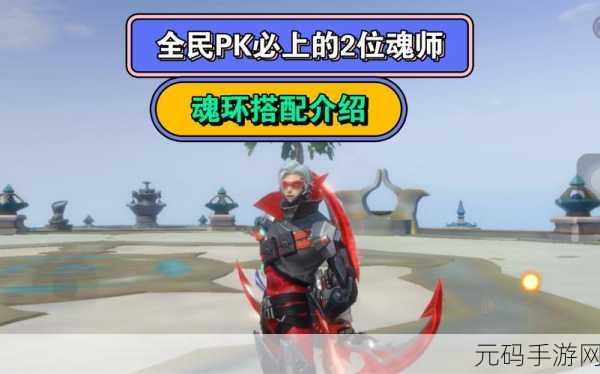 魂师对决破甲队戴沐白魂环搭配：魂师对决：戴沐白破甲队魂环最佳搭配解析