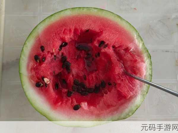 51CG.吃瓜:1. 51CG:揭秘吃瓜文化背后的深意与乐趣