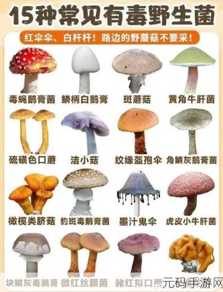 7x7x7x7x任意槽蘑菇:1. "探索7x7x7方块世界中的无限蘑菇奇幻