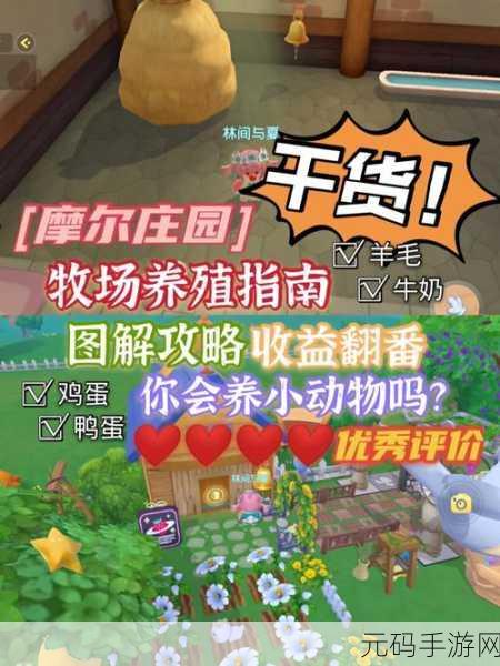摩尔庄园手游，禽舍修复秘籍大公开