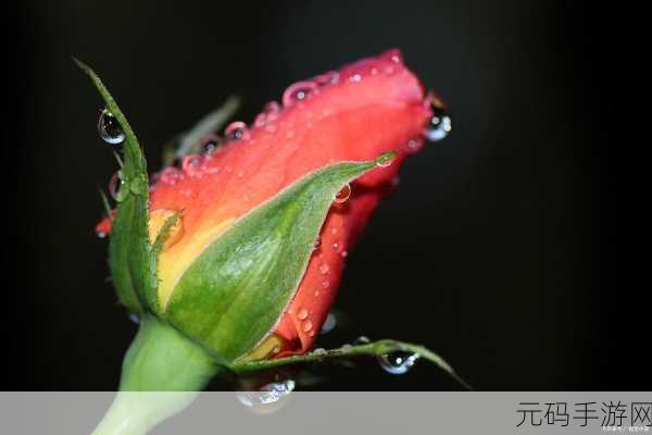 男生女生一起嗟嗟嗟很痛真人祛除所有的广告:1. 一起面对痛苦,告别广告烦扰的生活
