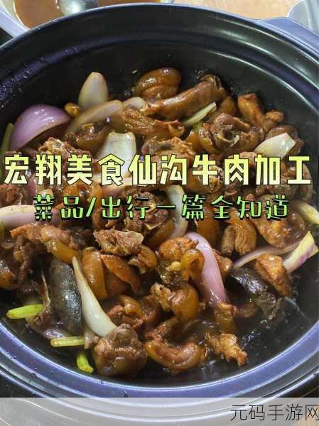 宏翔小蓝视频GY2022的评价：1. 《宏翔小蓝视频GY2022：全新视角的精彩呈现