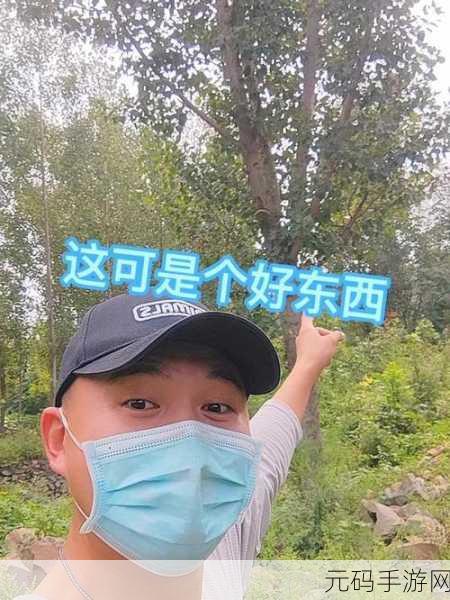 四叔一次又一次索要：1. 四叔的坚持与追求：每一次索要背后的故事