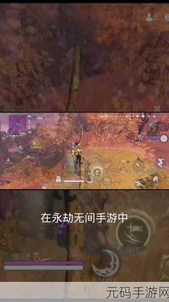 探秘永劫无间飓风客，赢取海量丰厚奖励