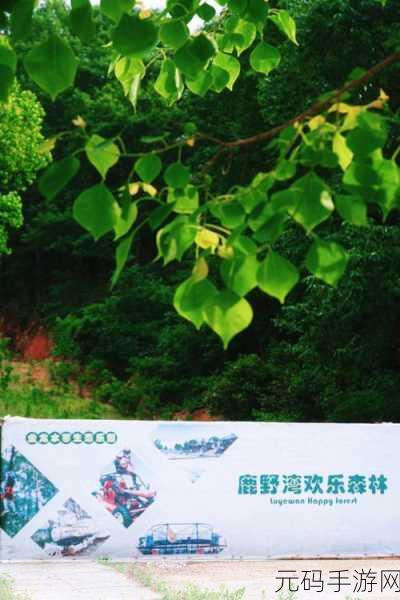 冬天的森林我和妹妹到森林去:1. 冬季森林探险:我与妹妹的奇妙旅程