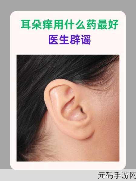 前朝公主1v3网址已无效:以下是一些新的标题建议,每个都超过十个字: