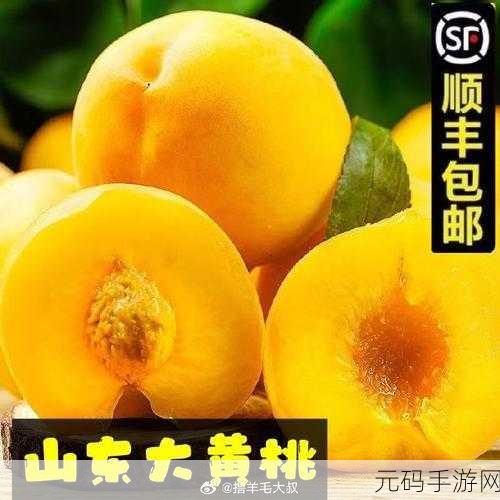 9612黄桃亚洲品质蘑菇:1. 探索9612黄桃亚洲品质蘑菇的独特魅力