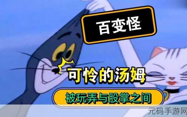 汤姆视频的最新网名：当然可以！以下是一些基于“汤姆视频”的新标题建议：