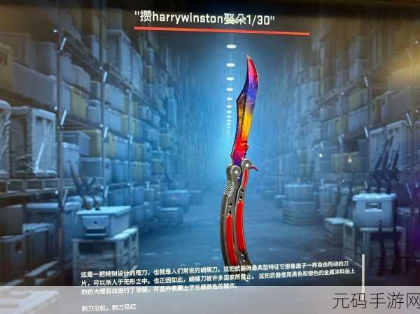 组队指南-55岁大妈玩CSGO:1. "55岁大妈也能成CSGO高手,组队指南助你一臂之力!