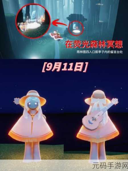 光遇荧光森林冥想点位置全解析