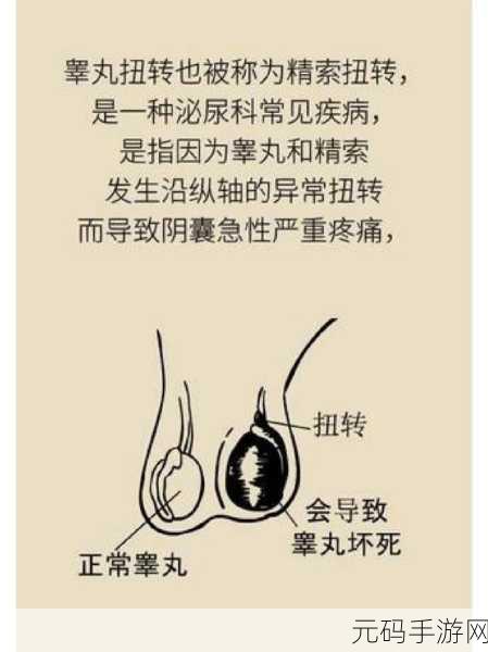 男生一边蛋蛋疼是怎么回事:1. 男性一侧睾丸疼痛的原因及解决办法