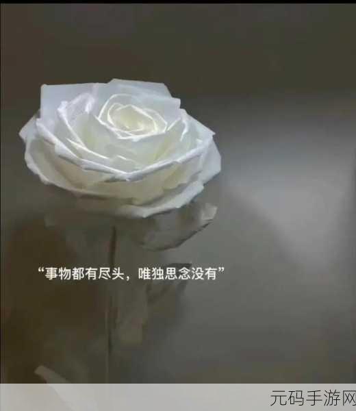 爸放手我是你儿媳妇的说说：1. 父亲的放手，儿媳妇的新起点