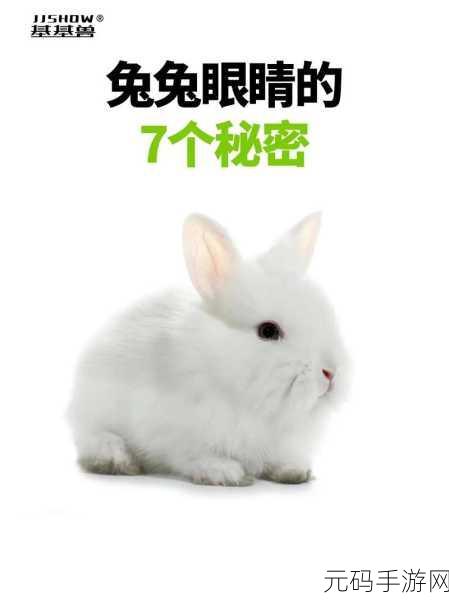老公每天晚上吃小兔兔对身体好吗：1. 每晚吃小兔兔对身体的益处与风险