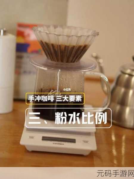 怎么说服妈妈给我手冲:当然可以!以下是一些关于如何说服妈妈给你手冲的标题建议: