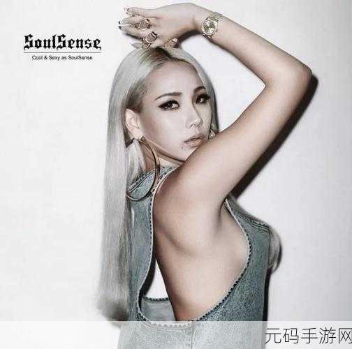EB韩国女rapper:1. EB韩国女Rapper:打破音乐界限的先锋力量