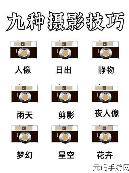 摄影艺术入门指南：1. 《探索摄影的魅力：初学者必知技巧与知识