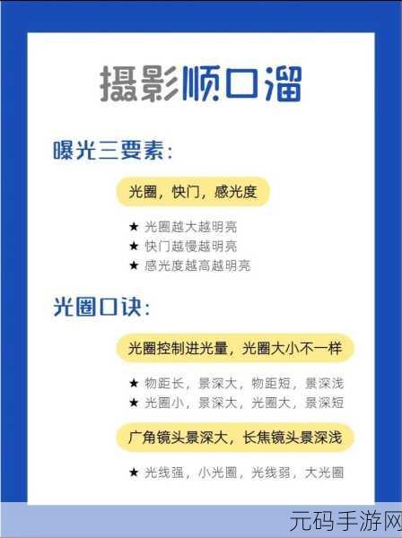 摄影艺术入门指南:1. 《探索摄影的魅力:初学者必知技巧与知识