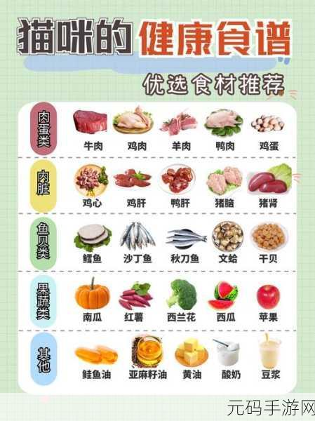 肉食教师食取报告2：1. 《肉食教师：深入剖析饮食习惯对教育的影响
