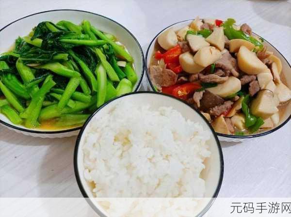 肉食教师食取报告2:1. 《肉食教师:深入剖析饮食习惯对教育的影响