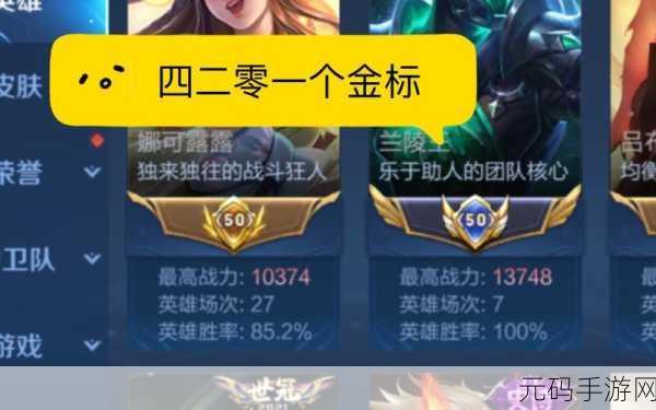 王者荣耀金标与国标,荣誉的象征与实力的较量