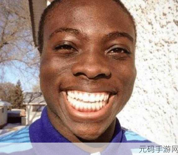 非洲人性功能强大跟什么有关？：1. 探索非洲人性功能强大的文化与环境因素