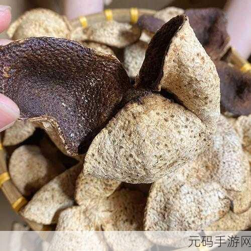 一线产区和二线产区的知名品牌是因付费问题被直接点名：一线与二线产区品牌差异解析：付费影响深远