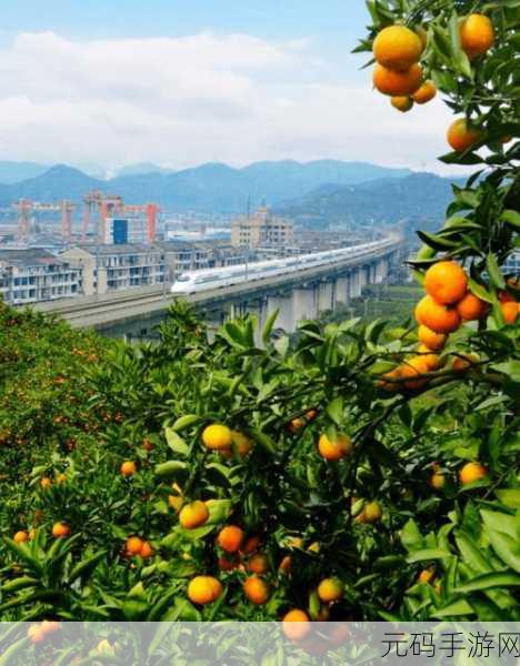 玉杵入牦户天下一奇吃橘带皮:1. 橘皮入味,奇妙美食探秘之旅