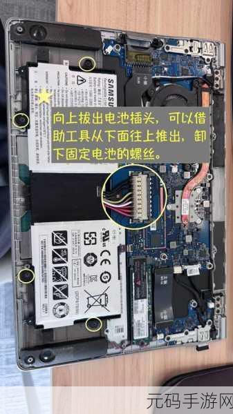重生细胞火虫流玩法全方位解析 助您轻松上手不再迷茫