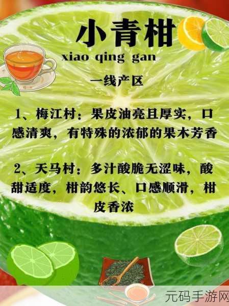 亚洲一线产区二线产区区别在哪儿:1. 亚洲一线与二线产区的核心差异解析