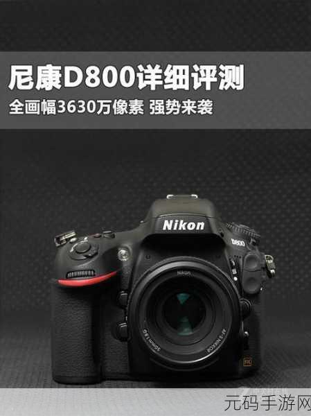 尼康d800配什么镜头实惠好用：1. 尼康D800最佳实惠镜头推荐与评测