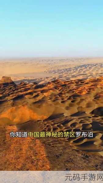 无人区编码6229Jm背后的秘密：无人区编码6229Jm：探索背后的神秘故事与意义