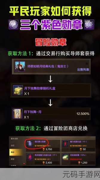 DNF嘉年华冠军徽章获取方法全解析