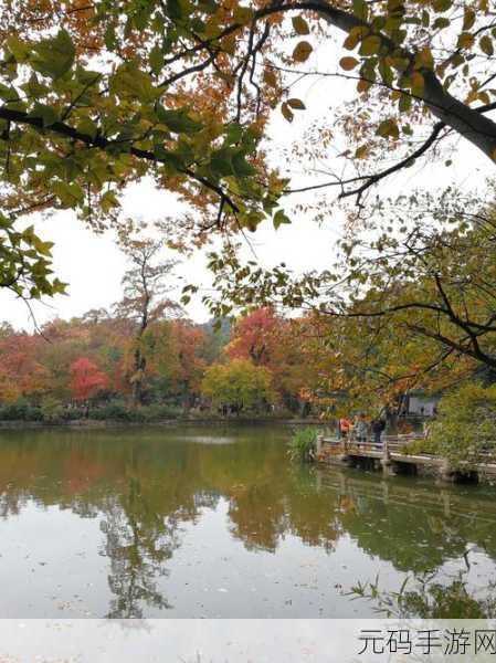 免费伦费一区二区三区四区：1. 免费伦费一区二区三区四区全解析与资源分享